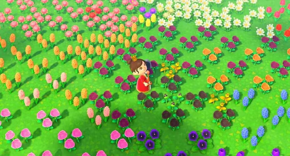 20260121143401357-350759