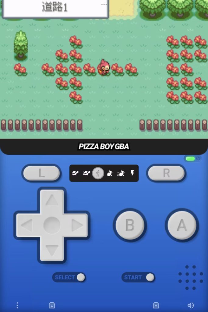 20260122204919383-1000259400