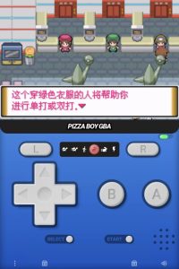 口袋妖怪无界对战塔（同人改版）-大鑫窝窝