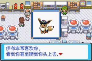 宝可梦去吧伊布像素版（同人改版）-大鑫窝窝