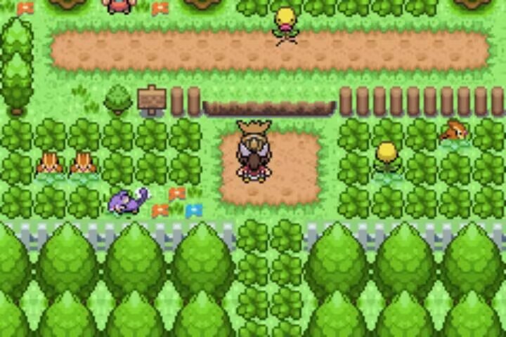 20260122205612274-1000259410