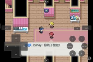 宝可梦时之花内置版手机/PC-大鑫窝窝