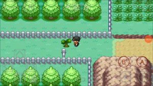 宝可梦西班牙火箭队-大鑫窝窝