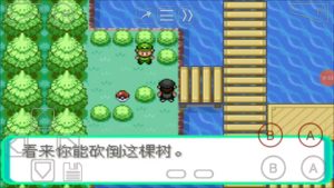 宝可梦西班牙火箭队-大鑫窝窝