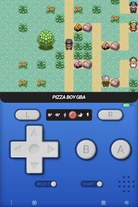 宝可梦绿宝石肉鸽手机版-大鑫窝窝