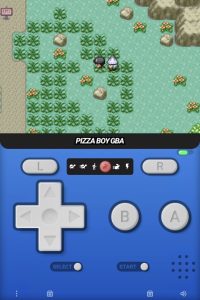 宝可梦绿宝石肉鸽手机版-大鑫窝窝