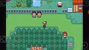 宝可梦传说绿宝石汉化-大鑫窝窝