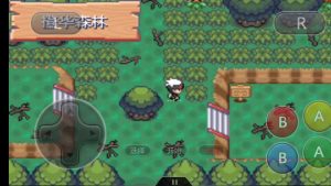 宝可梦传说绿宝石汉化-大鑫窝窝