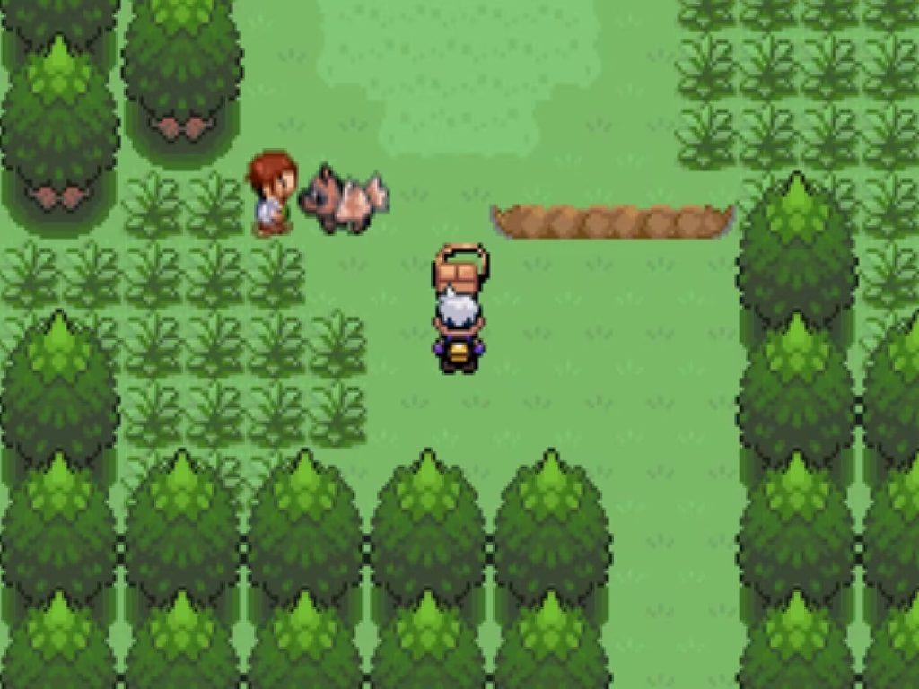 20260123163530447-1000259600