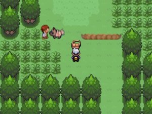 宝可梦漆黑的魅影内置下载-大鑫窝窝