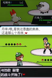 宝可梦剑盾GBA手机版-大鑫窝窝