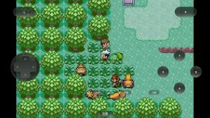 口袋妖怪格查尔-大鑫窝窝