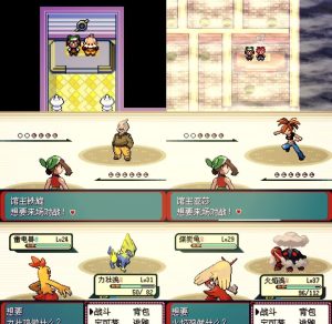 宝可梦传说绿宝石-大鑫窝窝