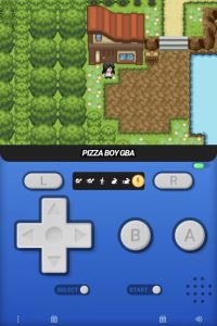 口袋妖怪牧场物语-大鑫窝窝