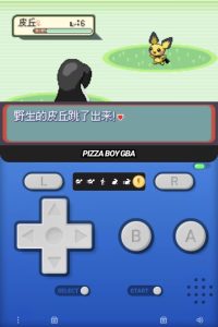 口袋妖怪牧场物语-大鑫窝窝