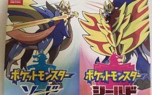 宝可梦剑盾手机版稳定30帧-大鑫窝窝