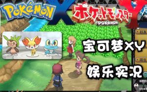 宝可梦xy高清版本攻略，60帧攻略-大鑫窝窝