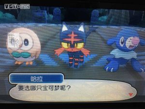 宝可梦太阳&月亮版-大鑫窝窝