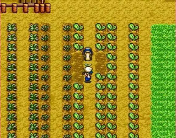 20260124235047782-395699