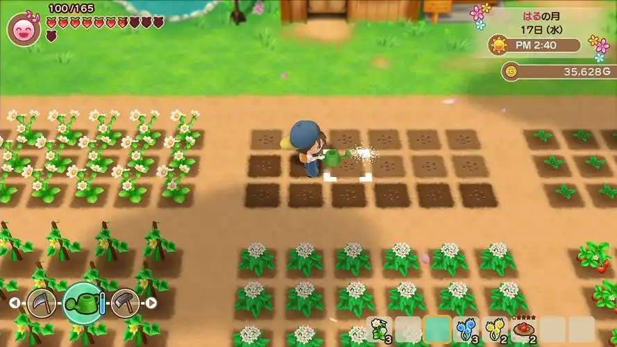 20260205005720225-432256