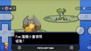 口袋妖怪地下城100层-大鑫窝窝