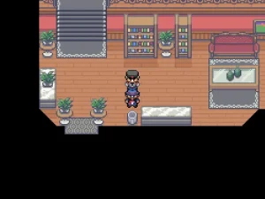 宝可梦灰霜侦探类宝可梦同人改版-大鑫窝窝