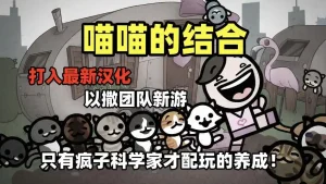 喵喵的结合手机版-大鑫窝窝