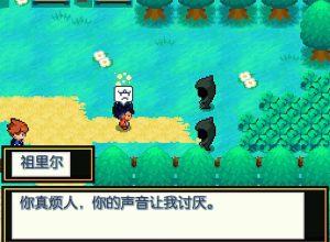 宝可梦教会内置金手指版PC/手机-大鑫窝窝