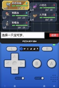 宝可梦火红内置金手指版-大鑫窝窝