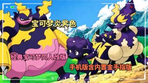 宝可梦炎紫色内置金手指版-大鑫窝窝