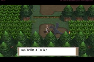 宝可梦夜光白金edan版含主播自制闪光6V小火龙存档-大鑫窝窝