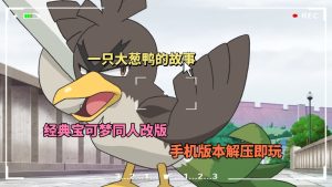 宝可梦一只大葱鸭的故事-大鑫窝窝